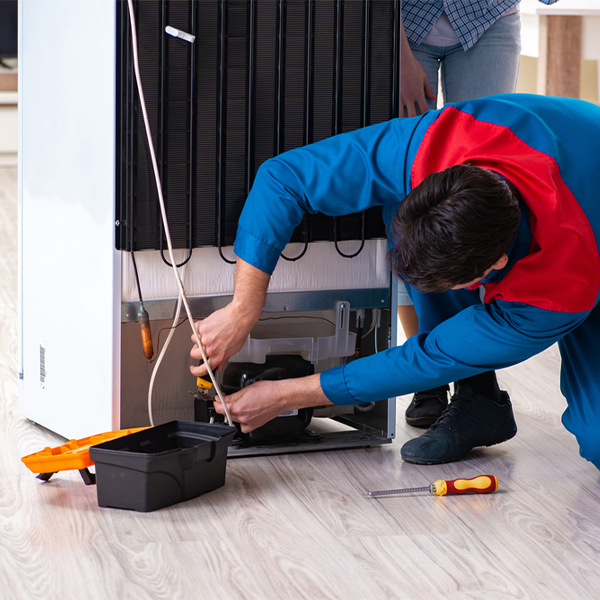 is it cost-effective to repair a refrigerator or replace it entirely in Moultrie County